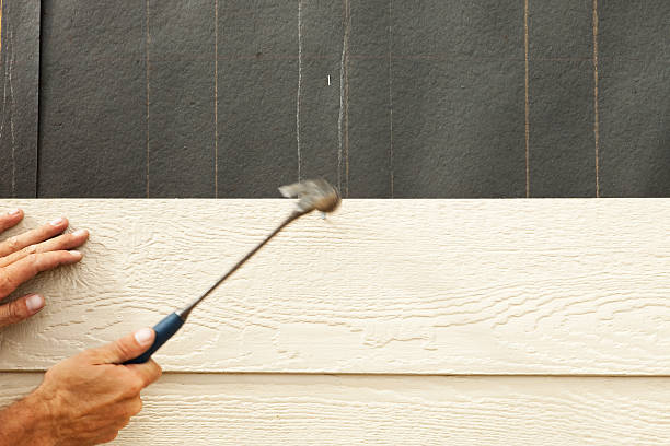 Best Fiber Cement Siding Installation  in Palm Springs North, FL